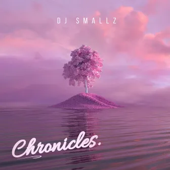 Chronicles. by Dj Smallz