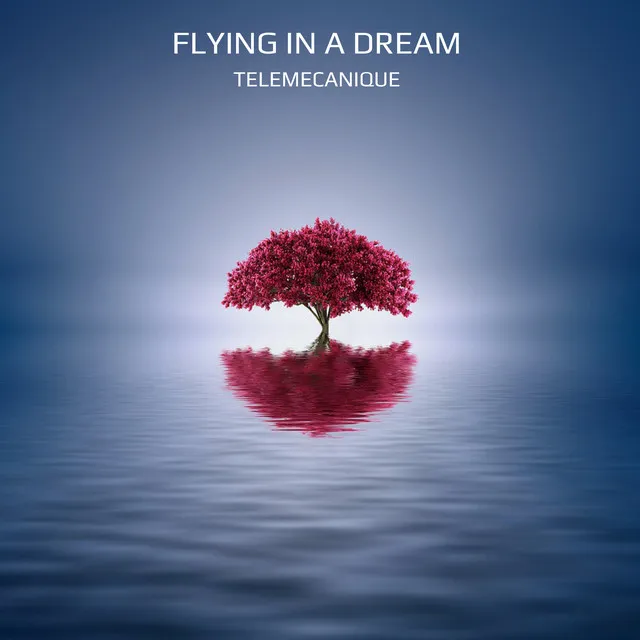 Flying in a Dream