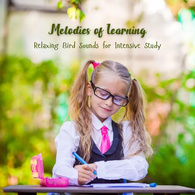 Melodies of Learning: Relaxing Bird Sounds for Intensive Study