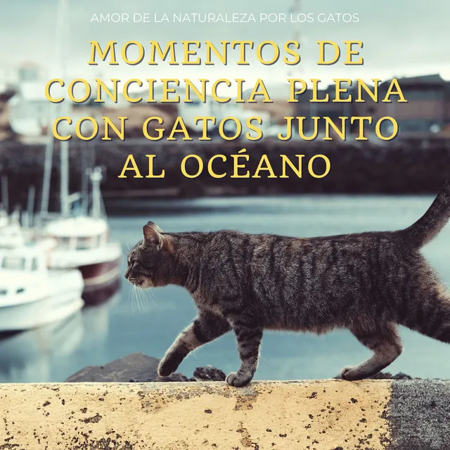 Serenidad Felina Por El Océano