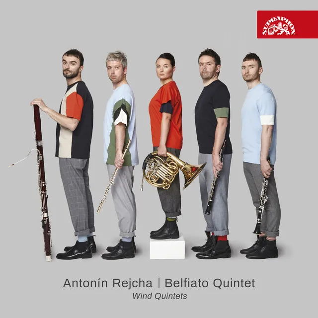 Wind Quintet in E Minor, Op. 88 No. 1: No. 4, Finale. Allegro