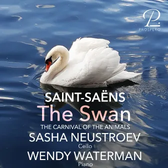 Saint-Saëns: The Carnival of the Animals, R. 125: No. 13, The Swan by Wendy Waterman