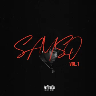 Sayso, Vol. 1 by Sayso