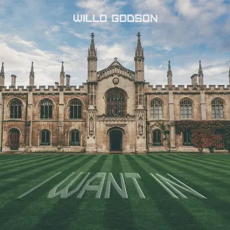 I Want In by Willo Godson