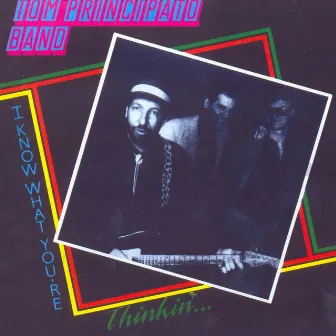 I Know What You're Thinkin' by Tom Principato Band