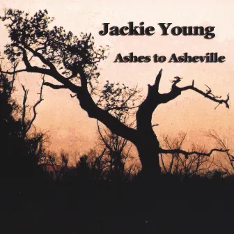 Ashes to Asheville by Jackie Young