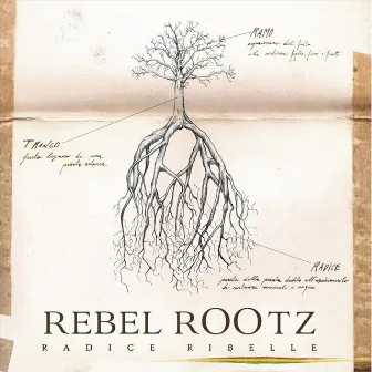 Radice Ribelle by Rebel Rootz