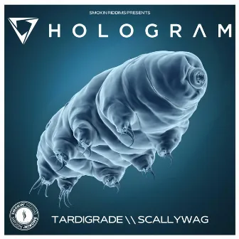 Tardigrade / Scallywag by Hologram