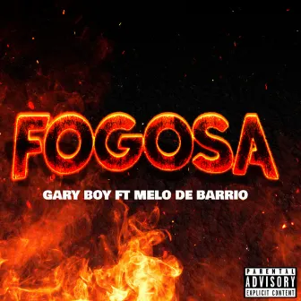 Fogosa by Gary boy