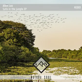 Safe in the Jungle EP by Allen Lee