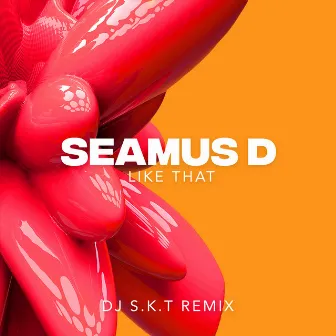 Like That (DJ S.K.T Remix) by Seamus D