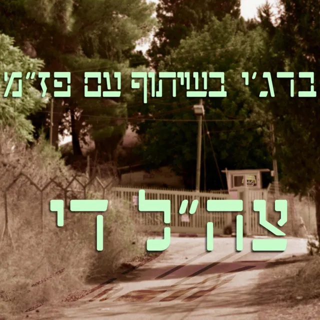 צה"ל די