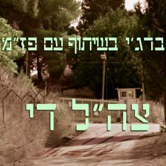 צה