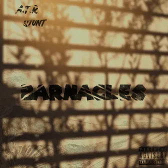 Barnacles by A.T.R Stunt