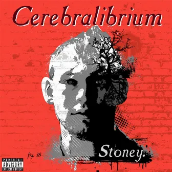 Cerebralibrium by Stoney