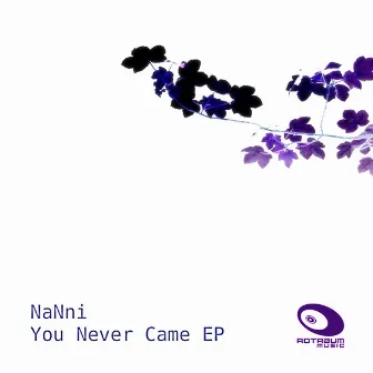 You Never Came Ep by Nanni