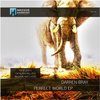 Perfect World by Catalina Balussi