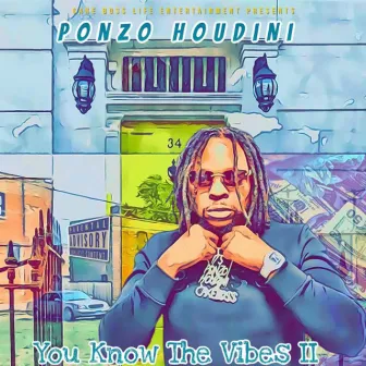 You Know the Vibes II by Ponzo Houdini