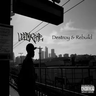 Destroy & Rebuild by Lefty Rose