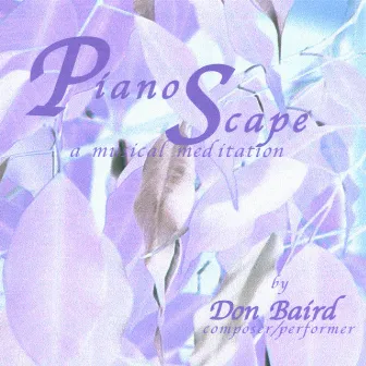 Piano Scape: A Musical Meditation by Don Baird