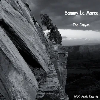 The Canyon by Sammy La Marca