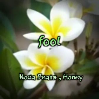 fool by Honey