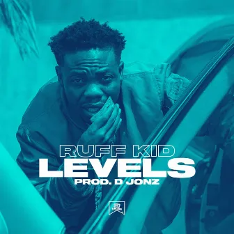 Levels by Ruff Kid