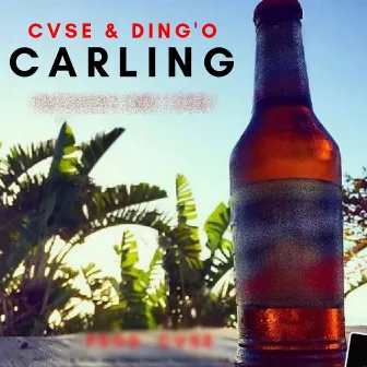 Carling by Dingo