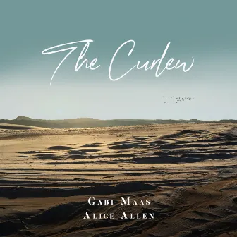 The Curlew by Alice Allen