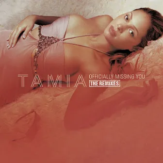 Officially Missing You by Tamia