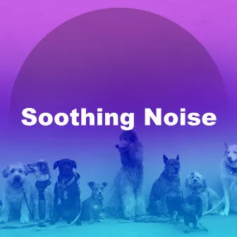 Soothing Noise by Dog Music Planet