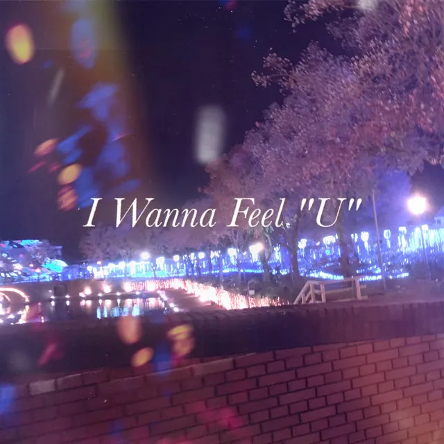 I Wanna Feel "U"