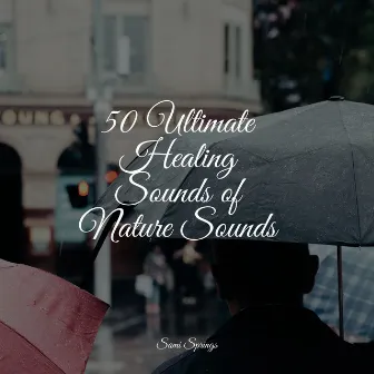 50 Loopable Rainfall Tracks by Master Meditação