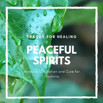 Peaceful Spirits - Tracks For Healing, Increase Circulation And Cure For Insomnia by Calm Easy Mindful and Mellow Healing Music