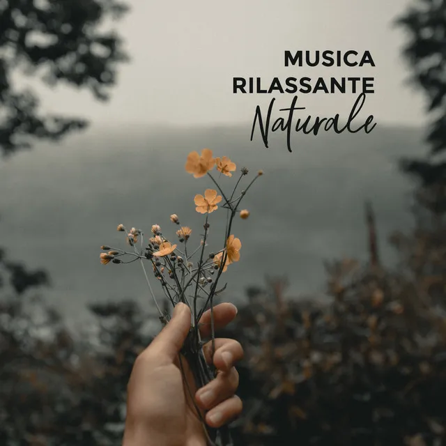 Musica Rilassante Naturale