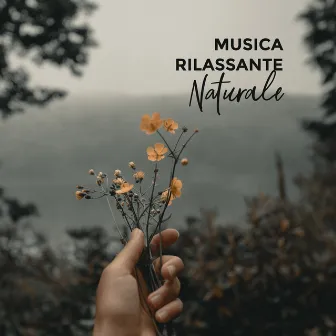 Musica Rilassante Naturale by Serenity Nature Sounds Academy