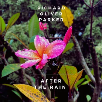 After the Rain by Richard Oliver-Parker