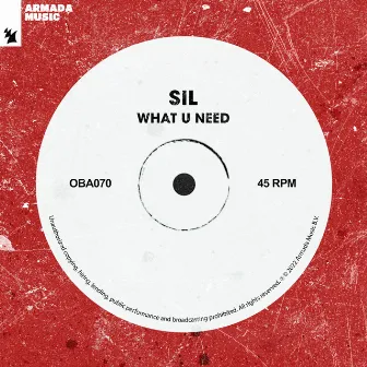 What U Need by Sil