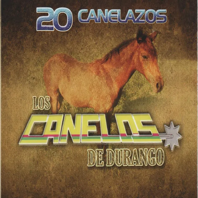 20 Canelazos