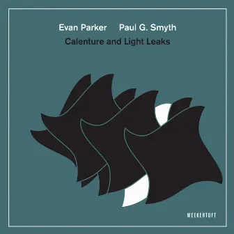 Calenture and Light Leaks (Live) by Paul G. Smyth