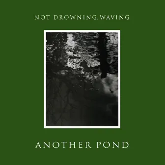 Another Pond by Not Drowning, Waving