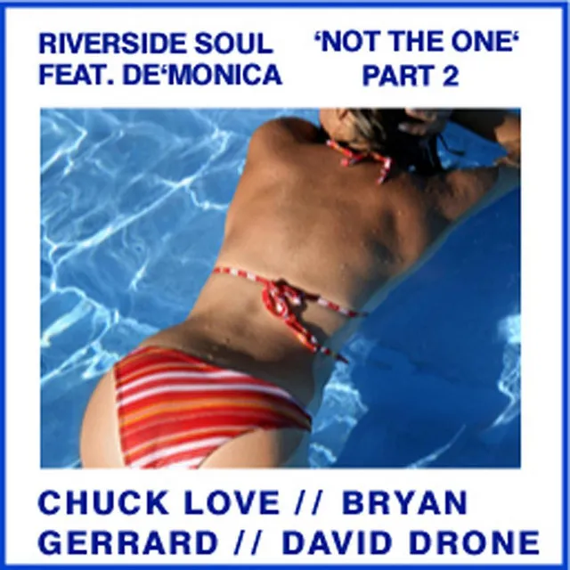 Not The One - Part 2 - David Drone's Durtee Dub