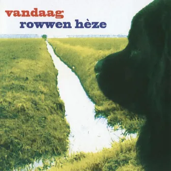 Vandaag by Rowwen Hèze