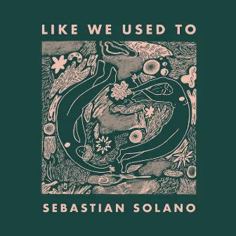 Like We Used To by Sebastian Solano