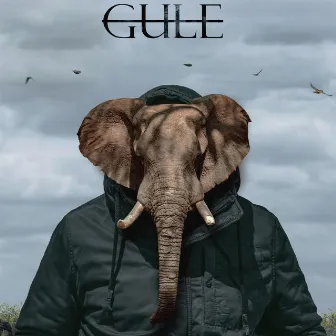 Gule by Apple Gule