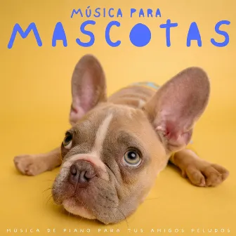 Música Para Mascotas: Música De Piano Para Tus Amigos Peludos by Salón Jazz Chill Out