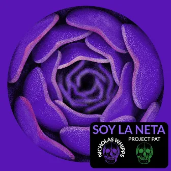 Soy La Neta by Nicholas Whipps