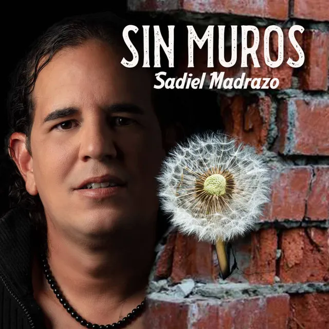 Sin Muros