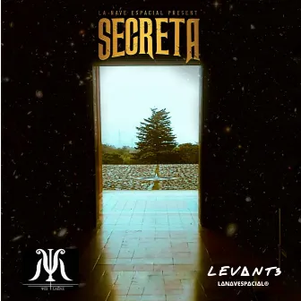 Secreta by LANAVESPACIAL