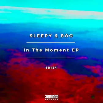 In The Moment by Sleepy & Boo